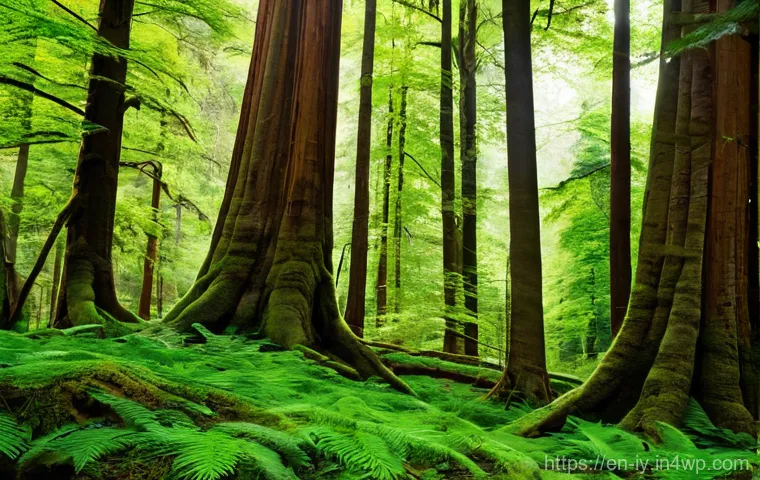 생태적 자아 형성을 위한 사회적 캠페인 - **Prompt 1: The Ecological Self Awakens in a Forest**
    "A serene young adult, dressed in comforta...