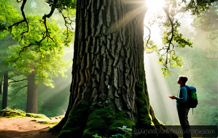 자연 보존과 생태적 자아의 관계 - Photorealistic wide-angle scene of a mature hiker standing quietly at the edge of an ancient tempera...