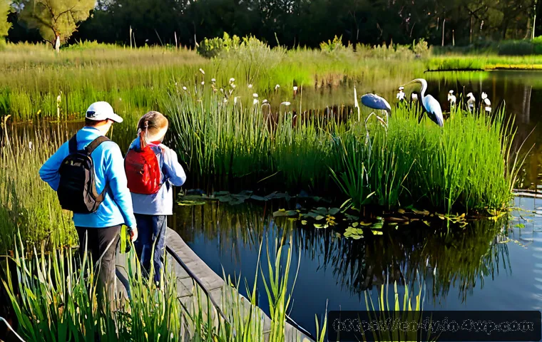 How Ecological Identity Can Shape Better Nature Conservation Choices 3 자연 보존과 생태적 자아의 관계 관련 이미지 1
